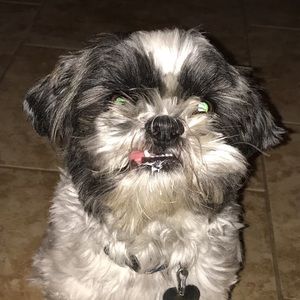 Meet your Posher, William